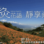 池上金針花季 × 日暉渡假村：花海旅行的療癒提案，秋日靜享無憂